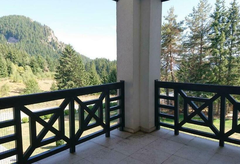 Mountain View Apartment 541