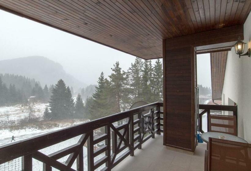 Mountain View Apartment 541