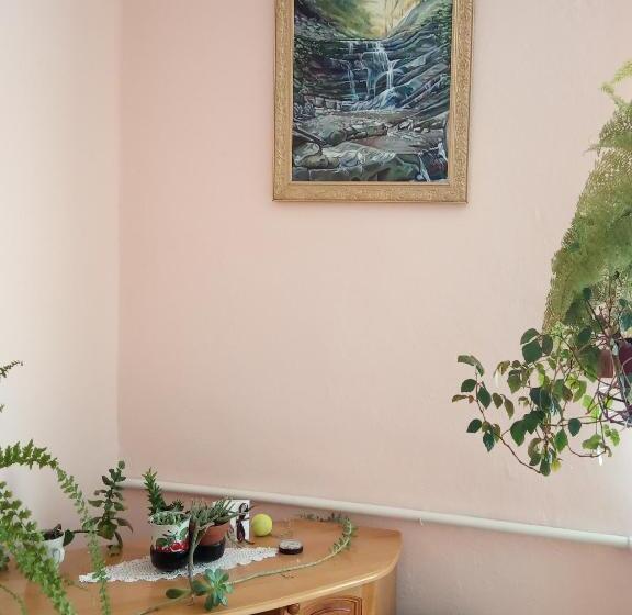 بنسيون Bat Kivska Hata