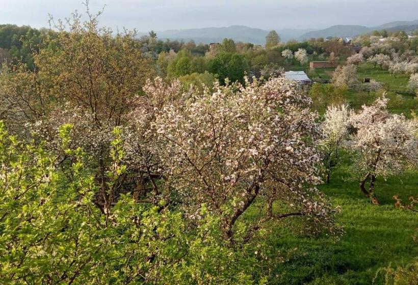 بنسيون Bat Kivska Hata