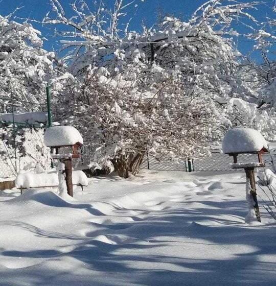 بنسيون Bat Kivska Hata