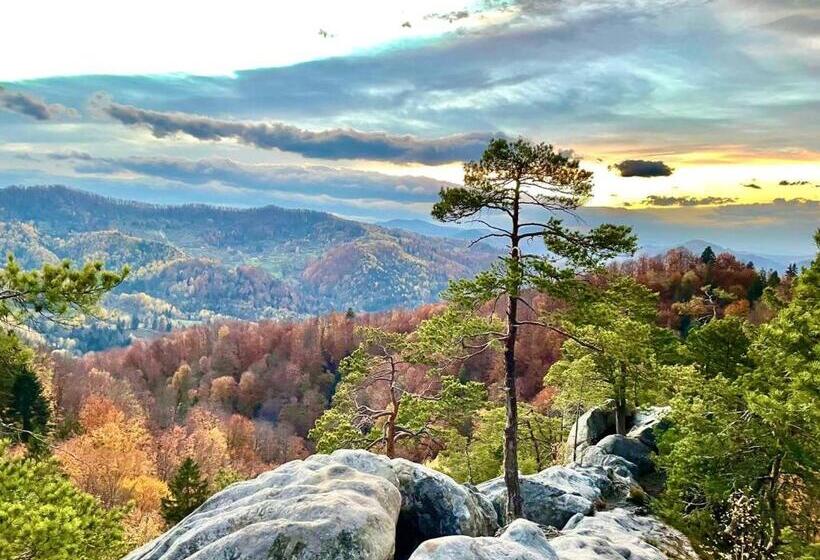 بنسيون Bat Kivska Hata