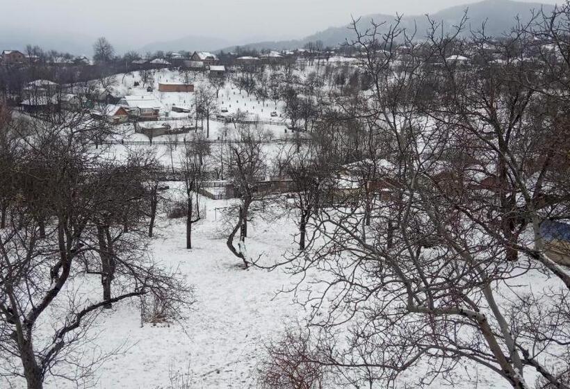 بنسيون Bat Kivska Hata