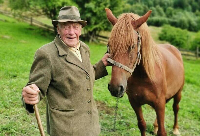 بنسيون Bat Kivska Hata