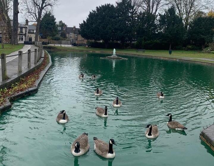 펜션 Beddington Park Lodge West