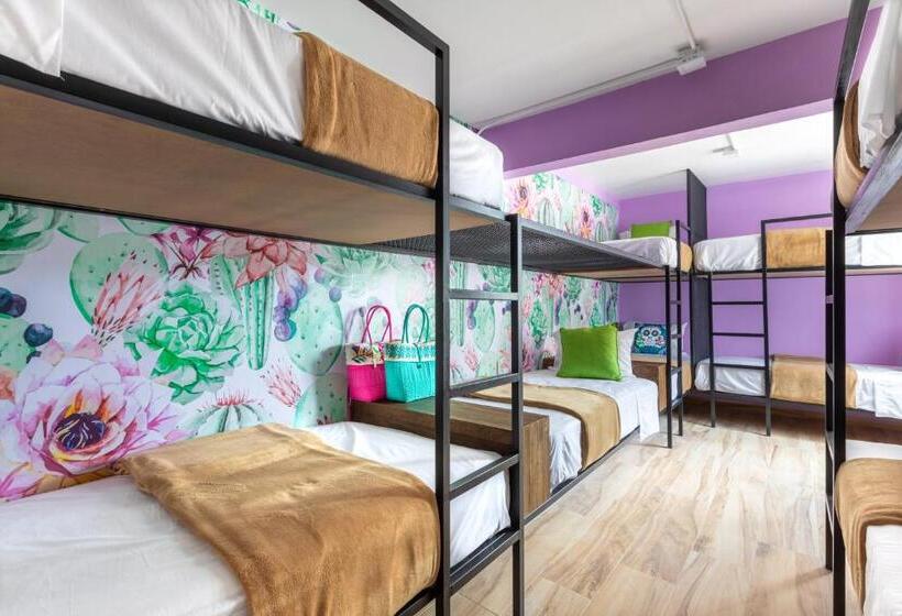 Пансион Casa Kanabri Hostal Boutique