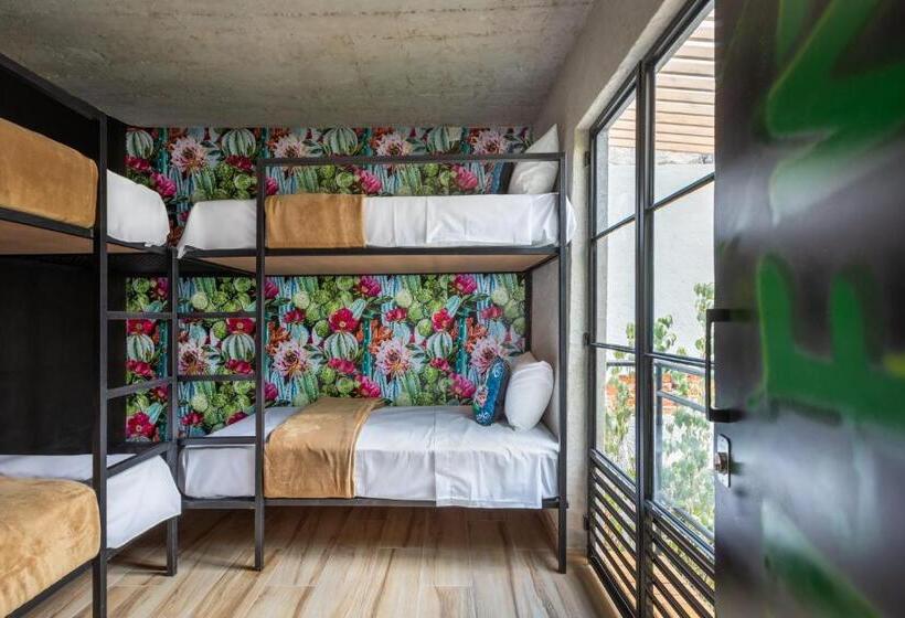 Пансион Casa Kanabri Hostal Boutique