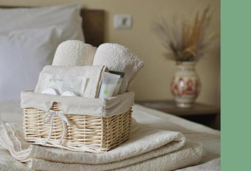 Пансион Casa Romaneasca