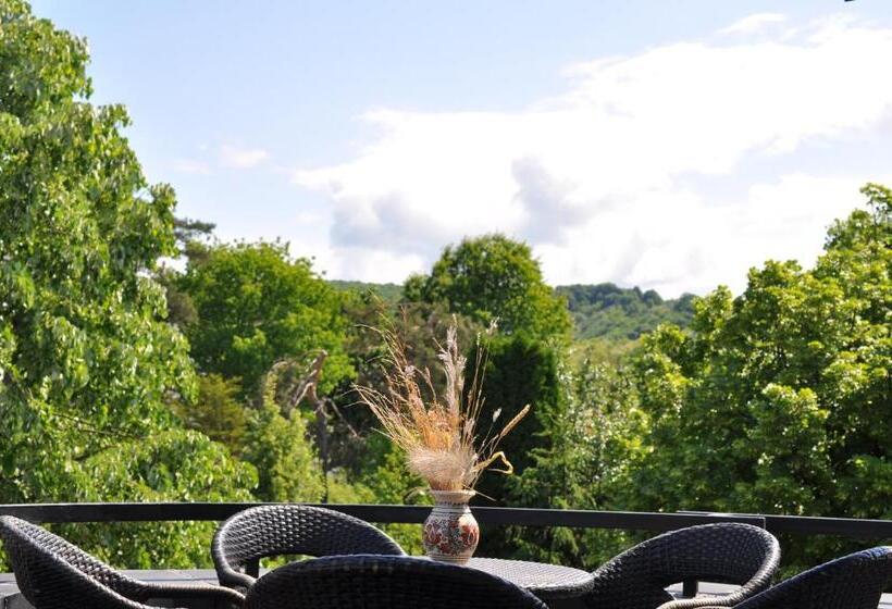 Пансион Casa Romaneasca