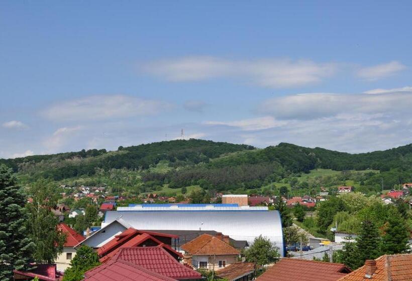 Пансион Casa Romaneasca