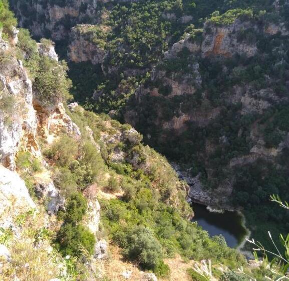 膳宿费 Castellaneta Short Term  Low Cost