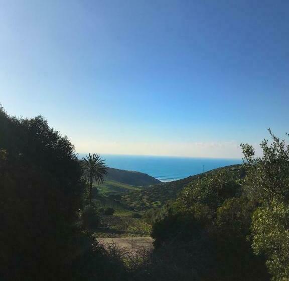 פנסיון Dmina House