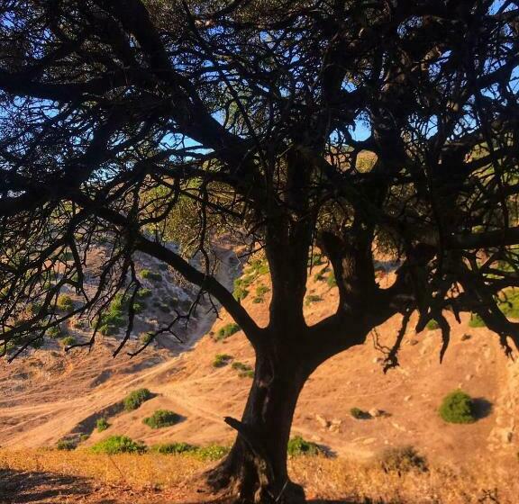 פנסיון Dmina House