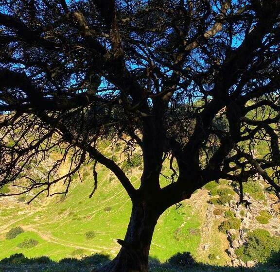 פנסיון Dmina House