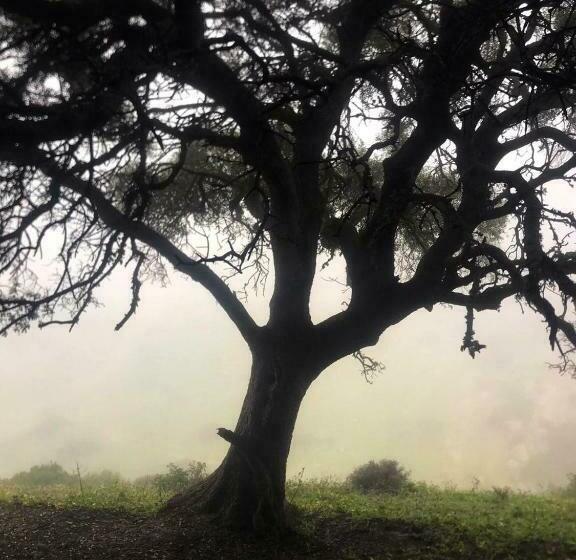 פנסיון Dmina House