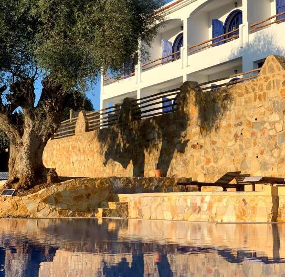 פנסיון Dmina House