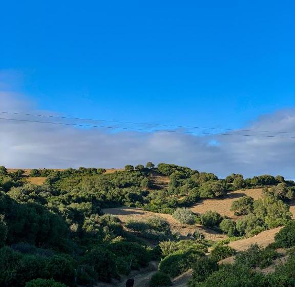 פנסיון Dmina House