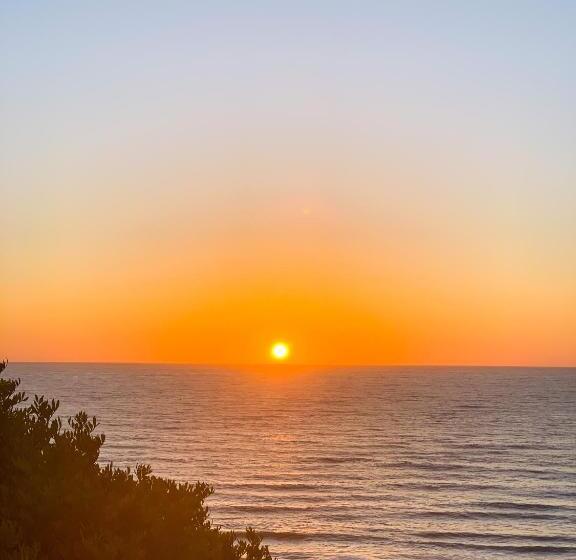 פנסיון Dmina House