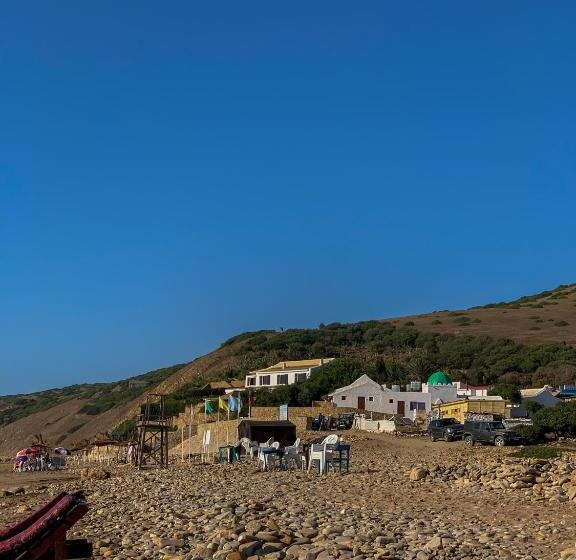 פנסיון Dmina House