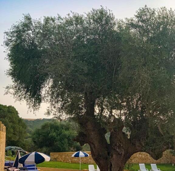 פנסיון Dmina House