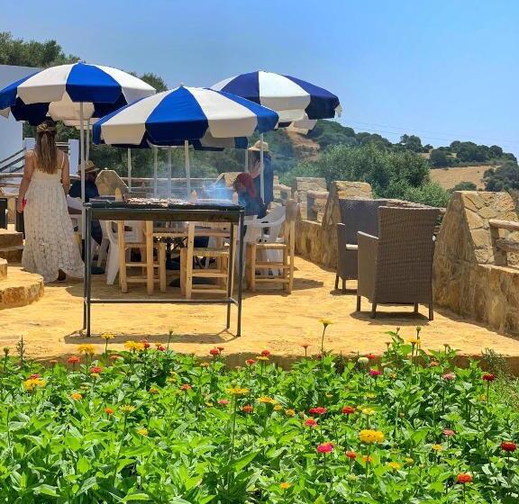 פנסיון Dmina House