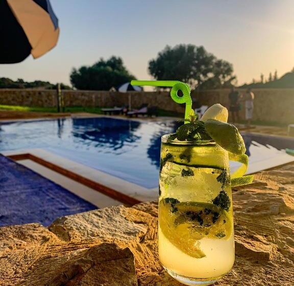 פנסיון Dmina House