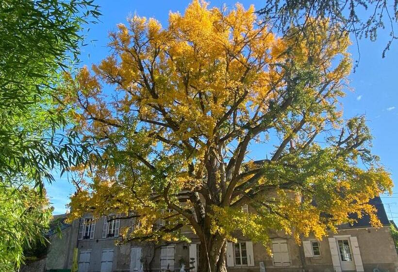 פנסיון Domaine Saint Hilaire