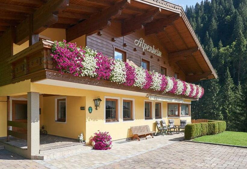 פנסיון Haus Alpenheim