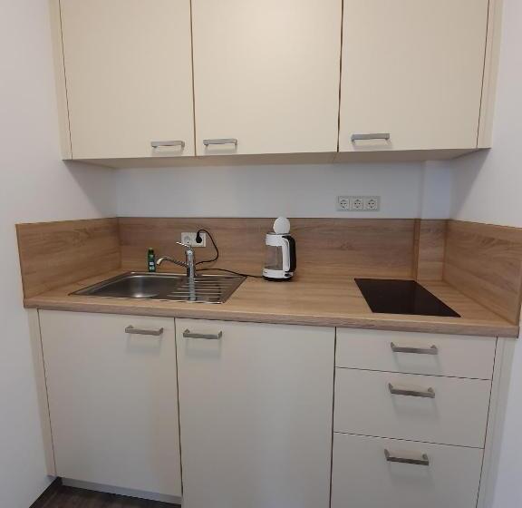 پانسیون Inselkern Einraum Apartments