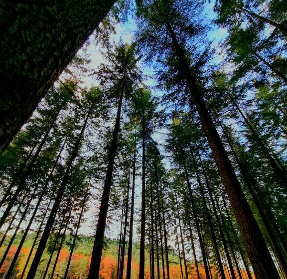 פנסיון La Tiny Proche Lac Et Forêt