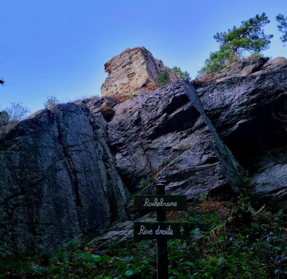 פנסיון La Tiny Proche Lac Et Forêt