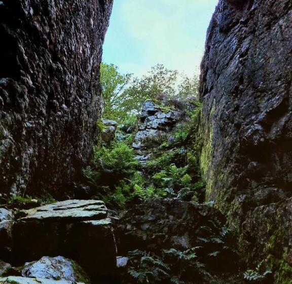פנסיון La Tiny Proche Lac Et Forêt