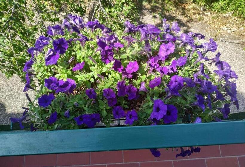 Пансион Le Stanze Della Terrazza Sul Borgo