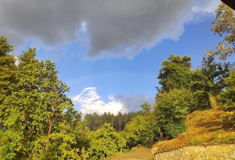 Пансион Le Stanze Della Terrazza Sul Borgo