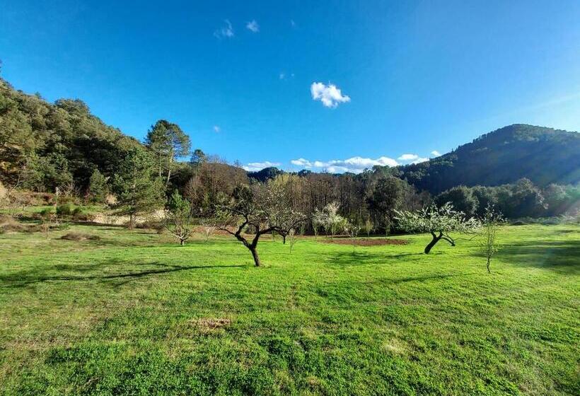بنسيون Les Jardins De Falguière
