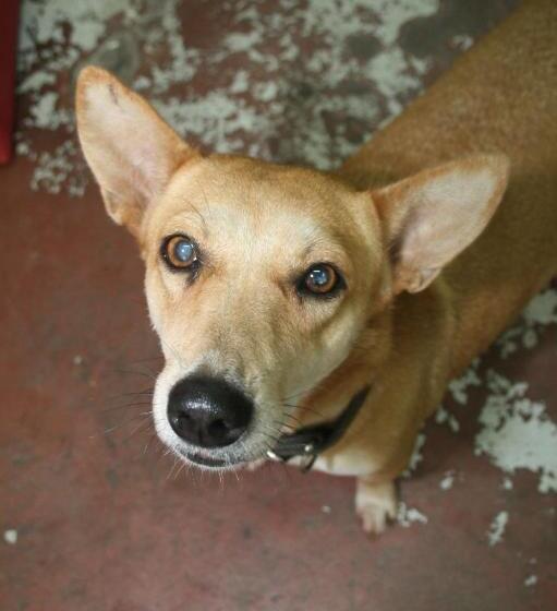 بنسيون Smile Guesthouse Krabi