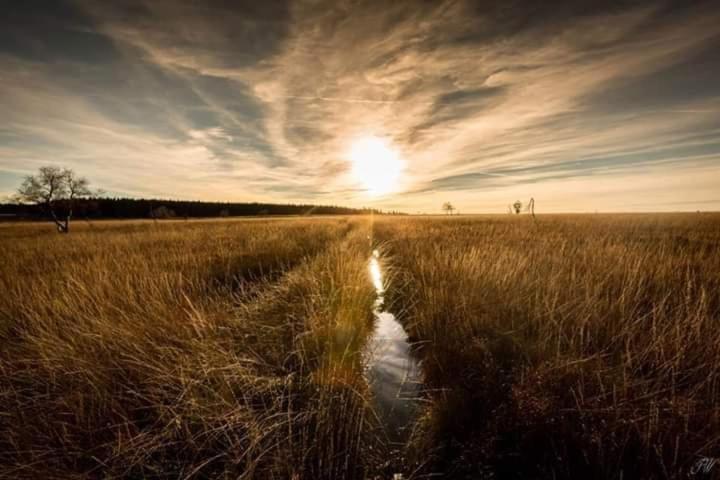 ペンション Studio La Gileppe