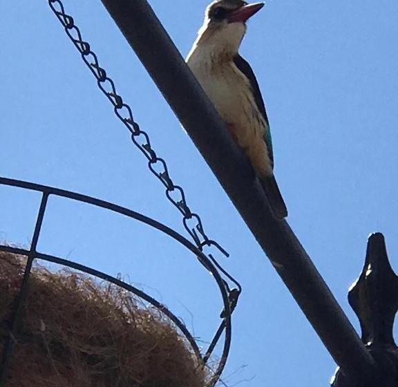 펜션 The Place Guesthouse Parys