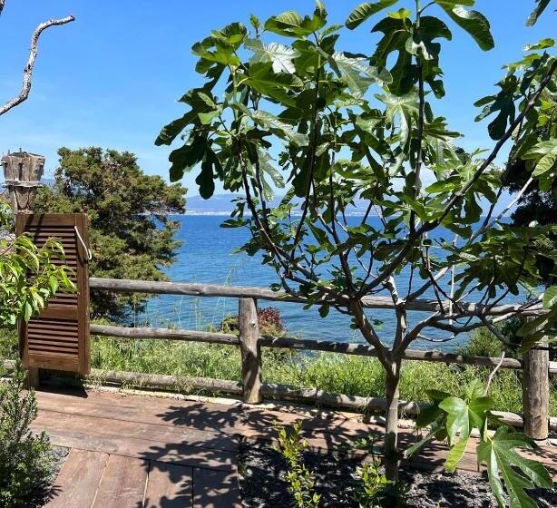 膳宿费 Villa Kirssis