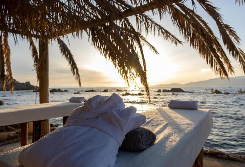 膳宿费 Villa Kirssis