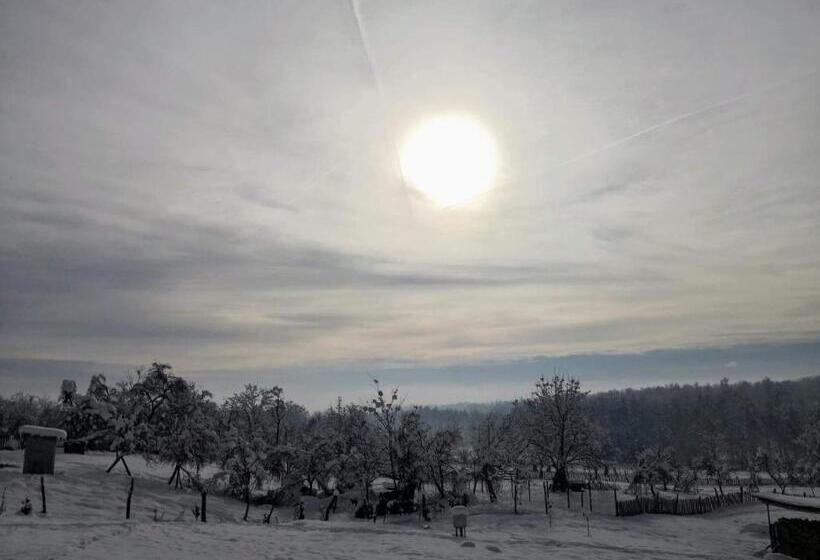 リゾートホテル Complex Transalpina