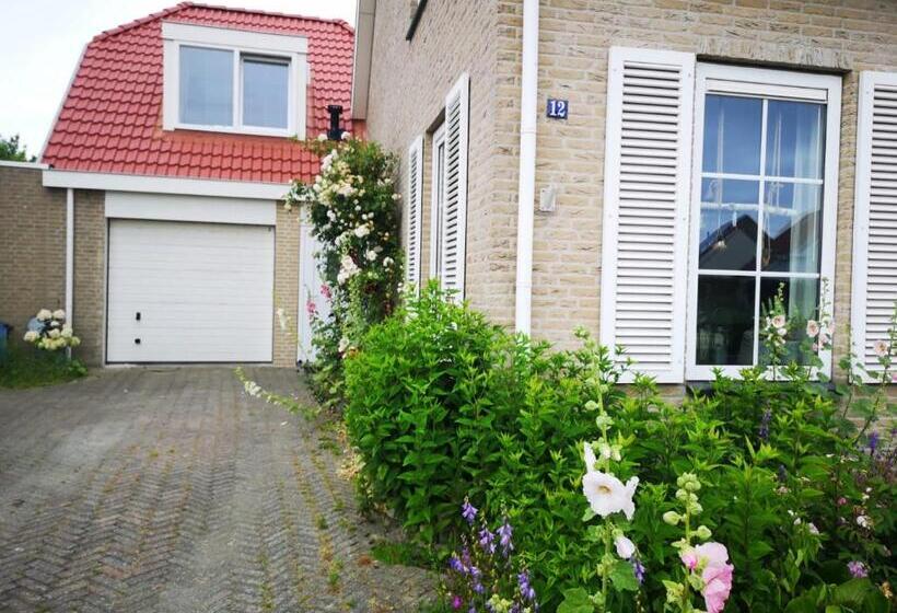 Studio B&b Zeeuws Licht