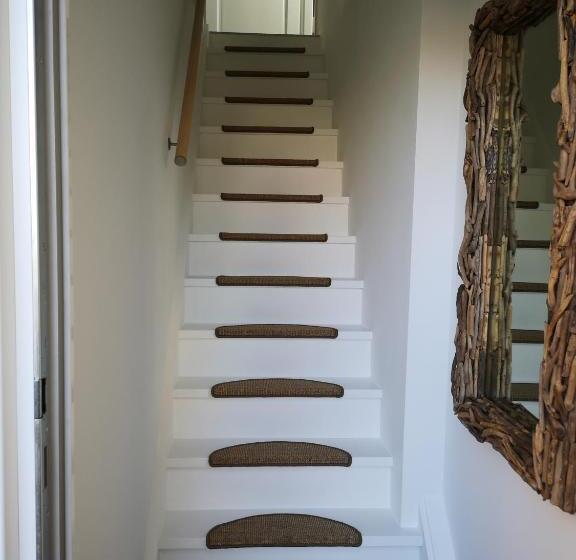 Studio B&b Zeeuws Licht