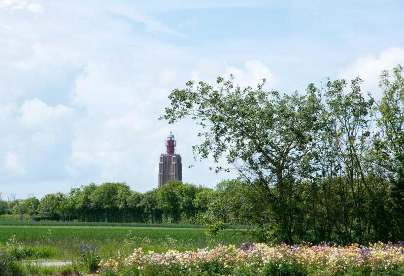 Studio B&b Zeeuws Licht