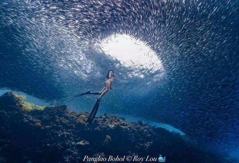 Ultra Mint Dive Resort