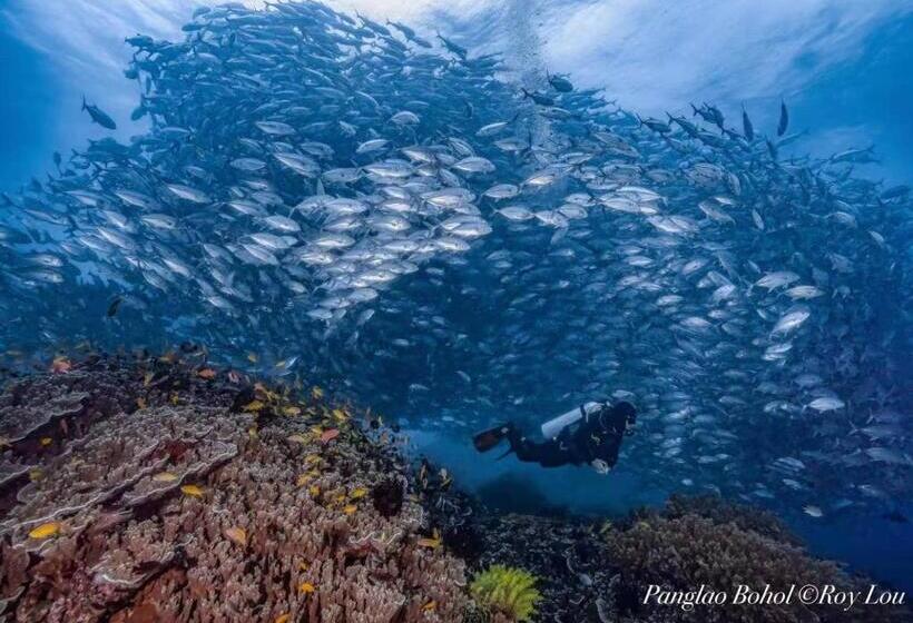 Ultra Mint Dive Resort
