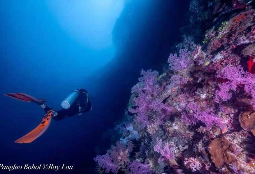 Ultra Mint Dive Resort