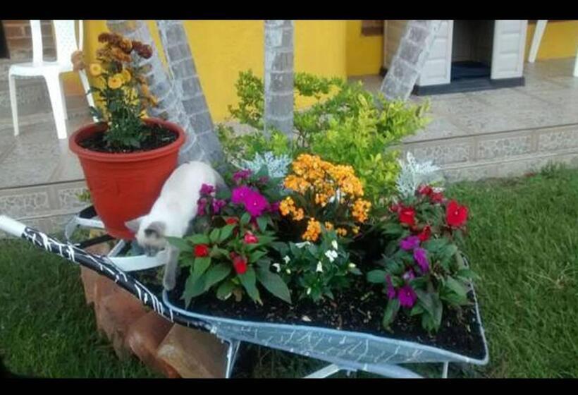 هاستل Alex Country House