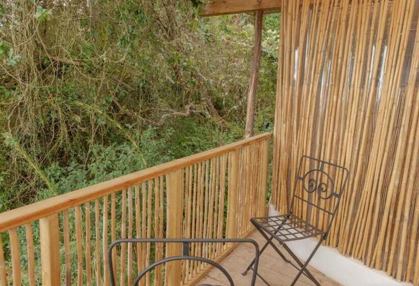 فندق صغير Posada Del Páramo   Rnsc Bosque De Niebla