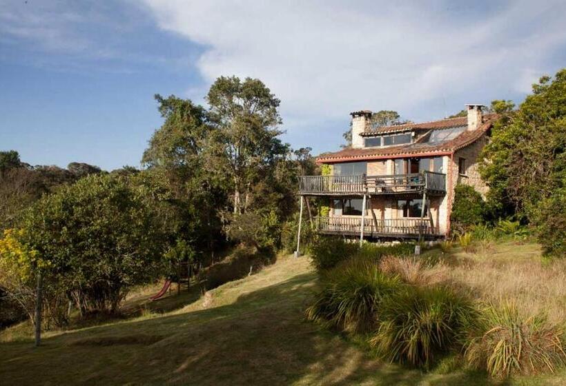 فندق صغير Posada Del Páramo   Rnsc Bosque De Niebla